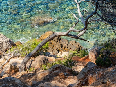 Découvrir Sanary-sur-Mer - Plaisirs maritimes, nature méditerranéenne et saveurs provençales